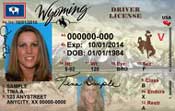 driver-license-adult-with-V175