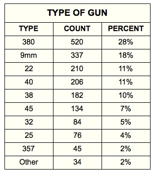 Type of Gun 2013